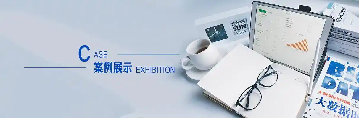 龙江县软件开发